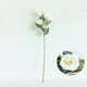 thumbnail image 4 of pstuiky Arreglo floral artificial de eustoma para decoración del hogar, sala de estar, accesorios para fotografía de bodas, 4 of 6