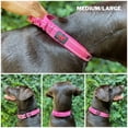thumbnail image 3 of Collar para perro Tuff Pupper, resistente, con mango de nailon balístico, 3 of 9