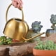 thumbnail image 2 of 2 Piezas De Regadera De Bonsai de material acero Inoxidable Dorado , Olla De Riego De Para Jardinería, Hervidor De Agua Pequeño Sharpla Regadera de acero inoxidable, 2 of 8