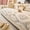 Light Gray, variant on Bohemian Geometric Plush Couch Cover, Non-Slip Washable Fuzzy Sofa Slipcover, Furniture Protector(Beige Armrest)