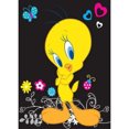 thumbnail image 1 of Resina Diamante Tweety 30x40cm WX068, 1 of 10