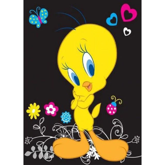 Resina Diamante Tweety 30x40cm WX068