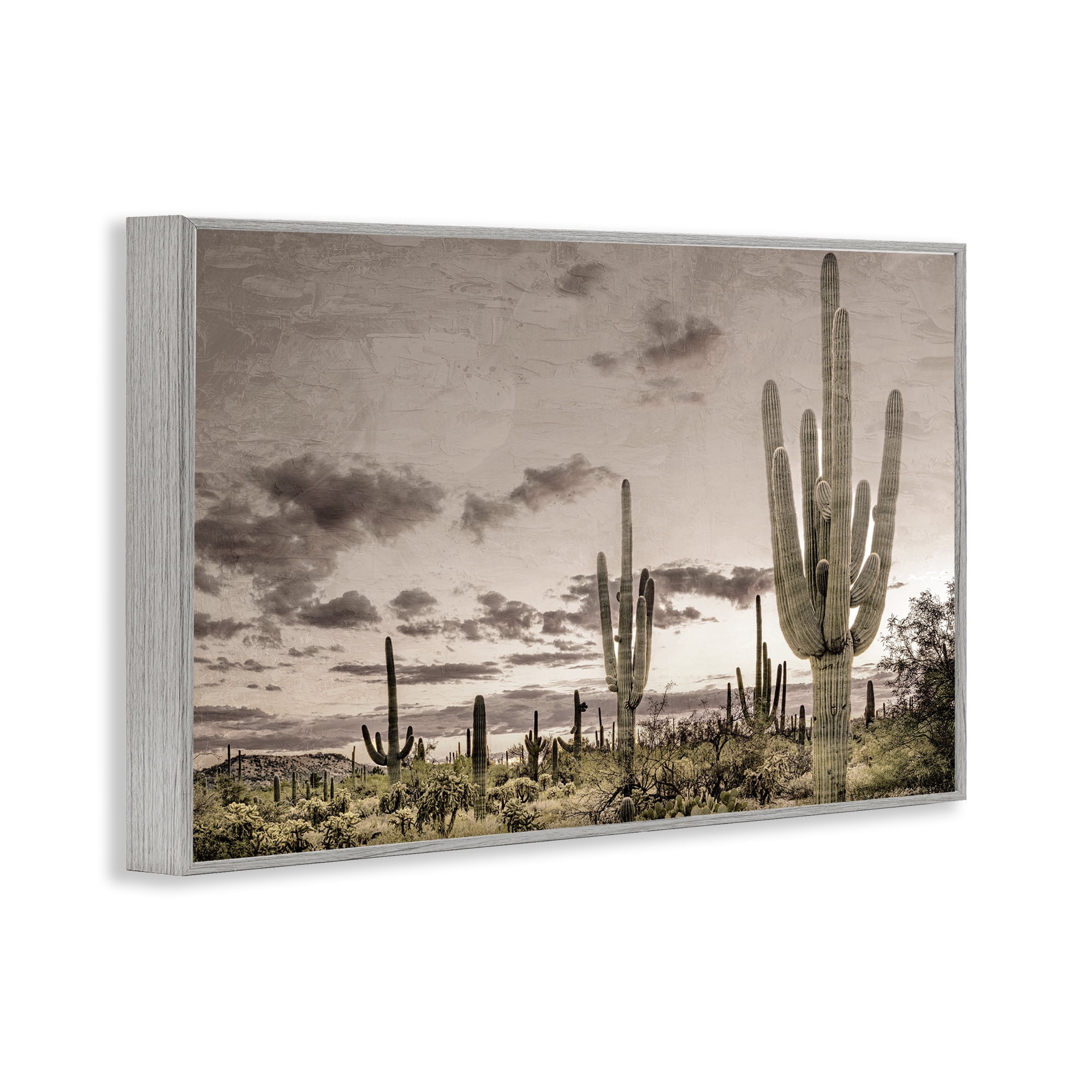 Stupell Industries Desert Sky Wilderness Gray Framed Giclee Art, design by Kim Allen