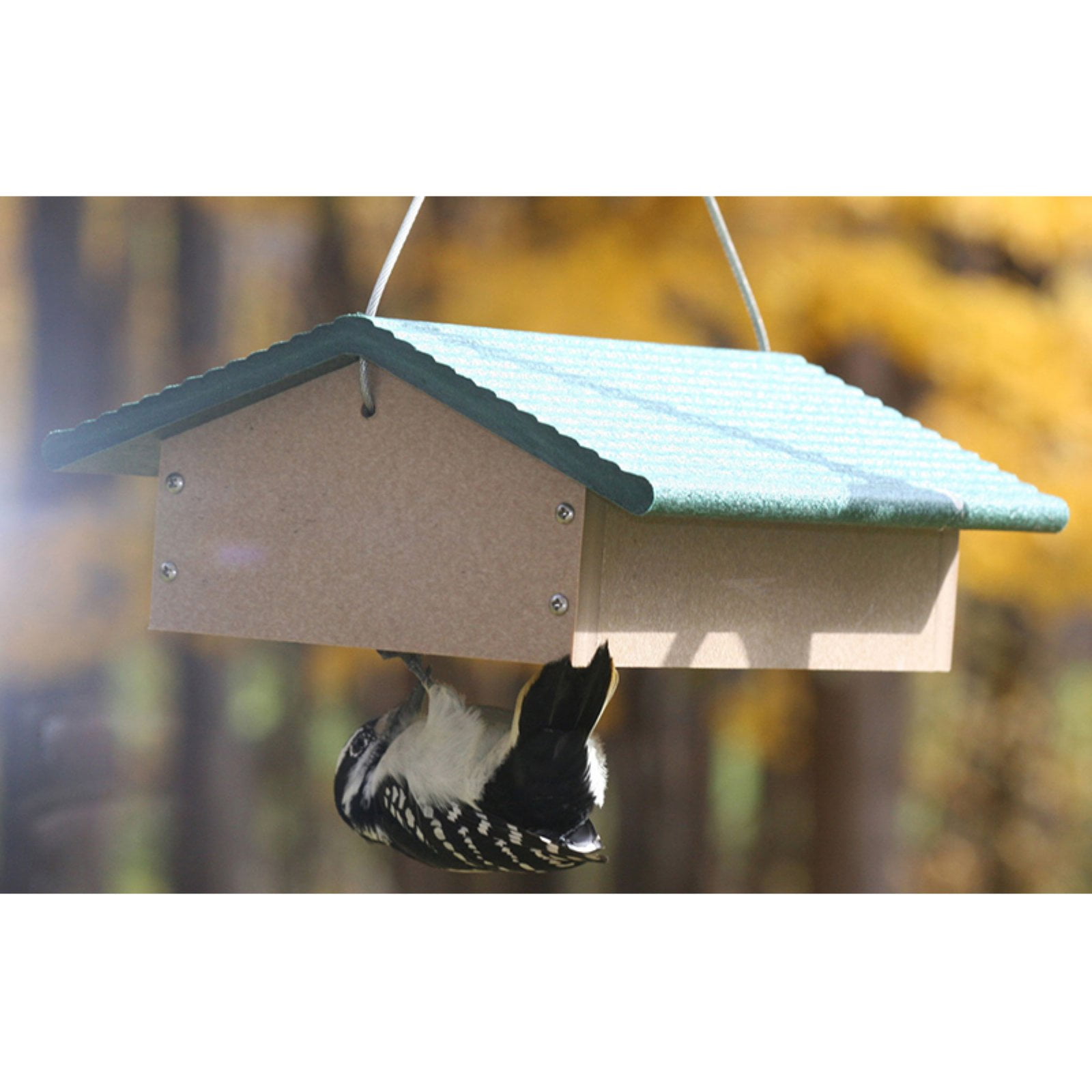 Birds Choice Upside Down Double Suet Cake Bird Feeder Walmart Com