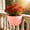 Pink, variant on Todaioua Semi Circle Hanging Wall Planter, Wall Mounted Half Round Flower Pot for Outdoor Indoor Decoration, Imitation Rattan Plastic Baskets Container, Drainage, for Home Office Balcony Fence