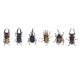 thumbnail image 4 of Juguete de Insectos Ticfox Juguete para Insectos 6 Piezas PVC, 4 of 12