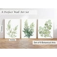 thumbnail image 6 of Induslyfe Framed Eucalyptus Sage Green Botanical Plant Wall Art Canvas Decor Set of 6, Nature Wall Art Prints Posters Art, Eucalyptus decor Flower wall art for bathroom bedroom living room 9x12, 6 of 7