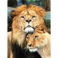 thumbnail image 1 of 30 X 40 Cm, León Mre Et Fils Pintura De Diamante Broderie Diamant Peinture Canevas 5d Tableau Enfant Adulte Strass Lot Puzzle Dessin Decoración Mura, 1 of 5