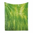 thumbnail image 1 of Bamboo Print Soft Flannel Fleece Throw Blanket, Image of Bamboo Trees with Sun Rays in Rainforest Exotic Wildlife Plants Nature, Cozy Plush for Indoor and Outdoor Use, 50" x 70", Green, by Ambesonne, 1 of 6