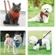 thumbnail image 5 of Arnés Con Correa Para Perro, Gato, Conejo, 5 of 8