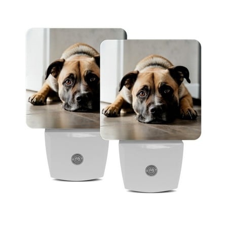 

Night Light Night Lights Plug into Wall 2-Pack Nightlight Plug in Night Light Dusk to Dawn Night Lamp Led Night Light for Adults Kids Room Pug Dog Animal