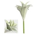 thumbnail image 2 of Flmtop Mini Artificial Succulent Plant Bonsai Fake Pineapple Leaf Balcony Desktop Decor, 2 of 7