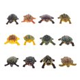 thumbnail image 4 of 12 Pcs Simulation Marine Life Animal Model Turtle Model Toys Early Education Supplies, 4 of 7