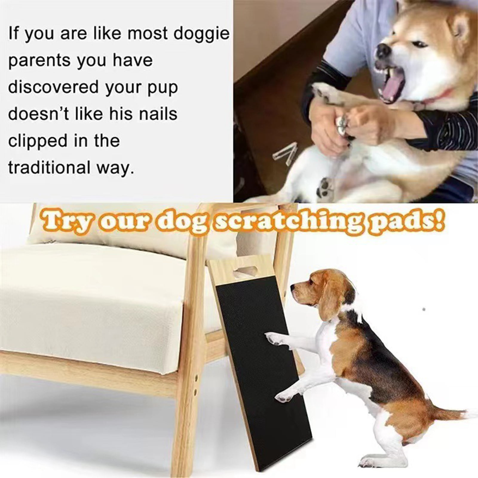 The 5 Best Dog Scratch Pads of 2024