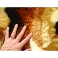 thumbnail image 3 of Faux Fur Lion Playmat - 5' x 7', 3 of 3