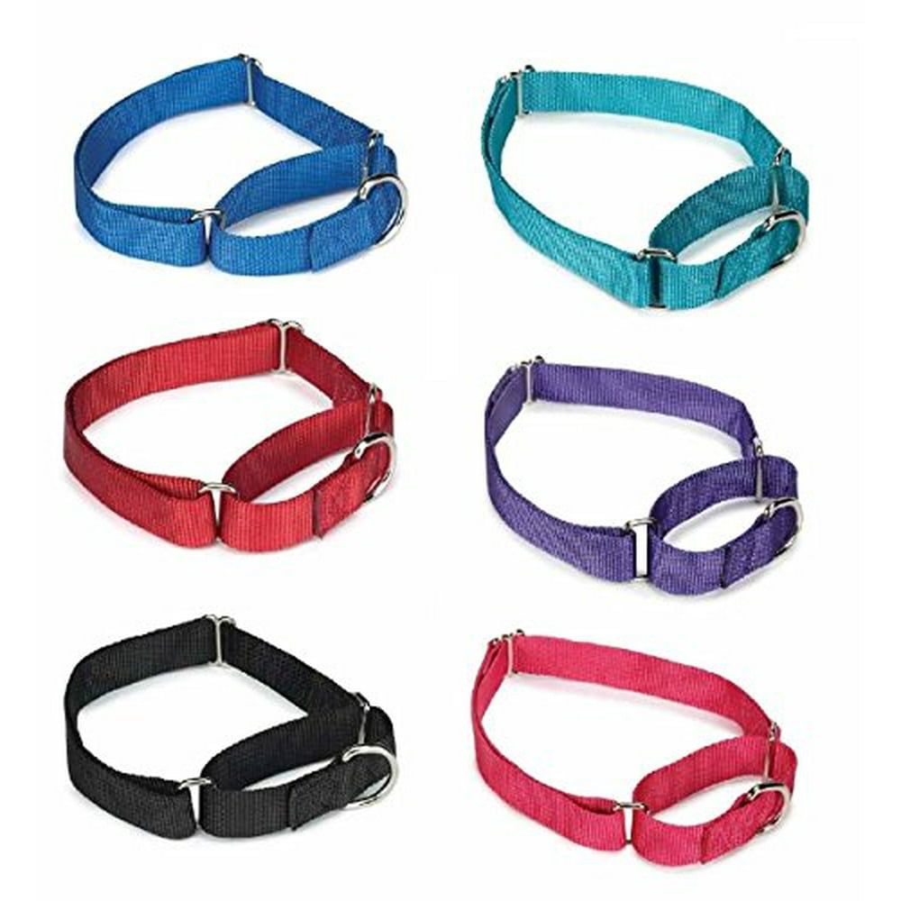 Bulk Lot Martingale Dog Collars at Wholesale Prices Nylon Collar Multi