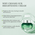 thumbnail image 6 of Aloderma Signature Aloe Brightening Set 5-Piece Set, 6 of 11