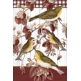 thumbnail image 2 of Allen, Kimberly 11x14 White Modern Wood Framed Museum Art Print Titled - Fall Birds, 2 of 4
