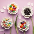 thumbnail image 3 of Brach's Speckled Jelly Beans, Springtime Easter Candy, 7oz, 3 of 6