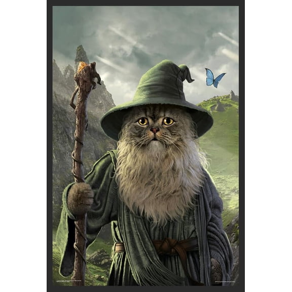 BUY ART FOR LESS Officially Licensed Catdalf by Vincent Hie Framed Art Poster - 24 x 36 Inch - Sturdy Engineered Wood Frame with Plexi Glass - Ready To Hang