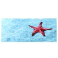 thumbnail image 1 of PVC Landscape Image Aquarium Decorative Sticker, Aquarium Background Sticker, Background For Aquarium 61x30cm, 1 of 8