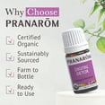thumbnail image 5 of Pranarom Digital Detox Aroma Blend 5ml for Relaxation & Stress Relief, 5 of 7