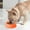 Orange, variant on PBAZIH Thickened Plastic Pet Bowl for Cats and Dogs, Non-Slip Anti-Spill Dog Food and Water Bowl, Easy to Clean Pet Dish for Indoor and Outdoor Use, Durable Chew-Resistant Dog Bowl