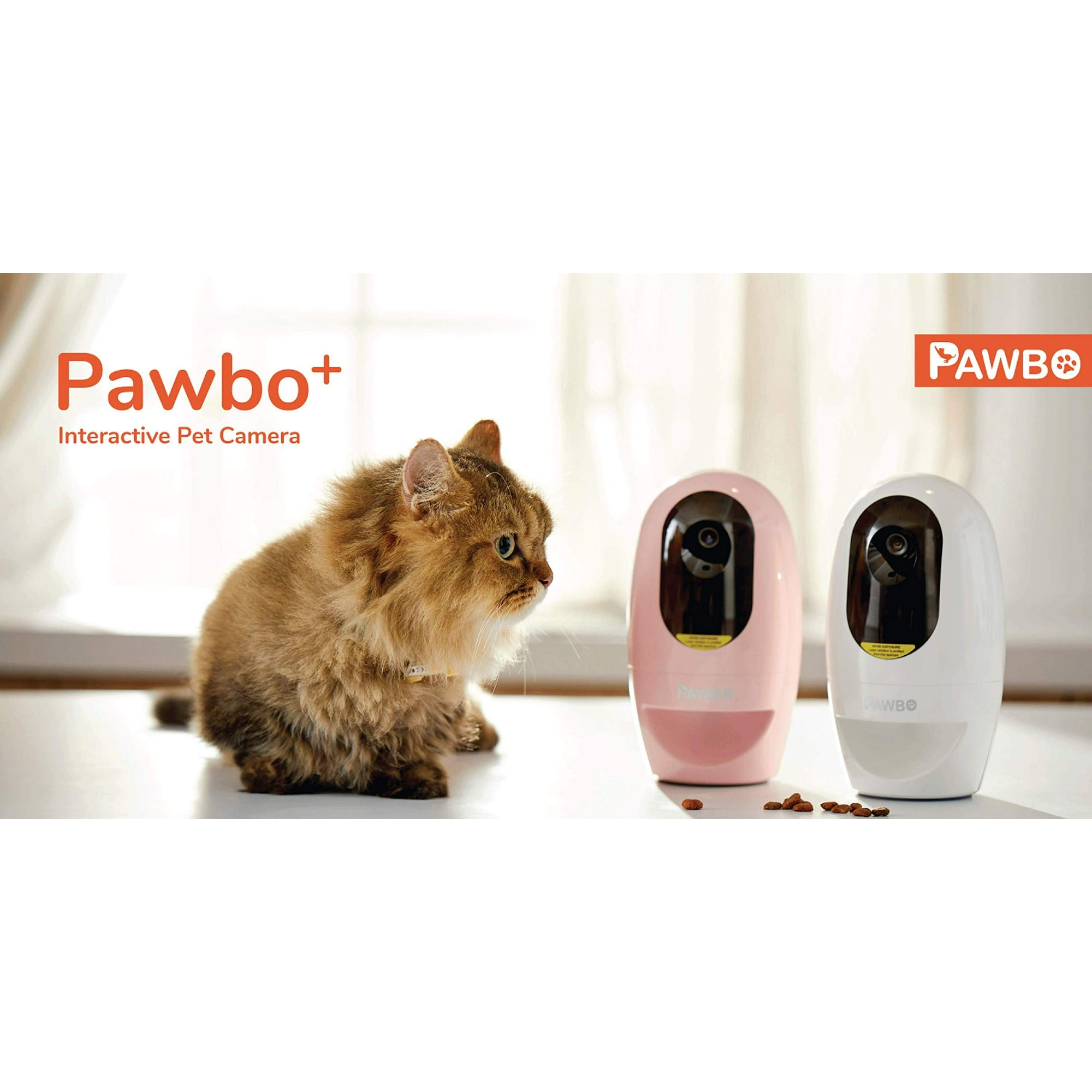 Pawbo Wireless Treat Dispenser Wi Fi Pawbo Interactive Pet Pawbo Wireless Treat Dispenser Wi Fi Pawbo Interactive Pet
