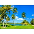 thumbnail image 2 of wall26 - Beautiful Golf Course Landscape in Miami. - Removable Wall Mural | Self-Adhesive Large Wallpaper - 66x96 inches, 2 of 5