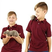 Reuben the Rat | 7 Inch Stuffed Animal Plush Mouse | by TigerHart Toys
