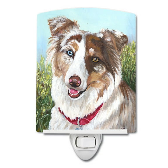 Caroline's Treasures PPP3009CNL Australian Shepherd Scarlet Ceramic Night Light, 6x4x3", multicolor