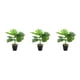 thumbnail image 4 of Inteprter ABS Tortuga en Maceta Plantas Falsas Bajo Mantenimiento JH5477, 4 of 6