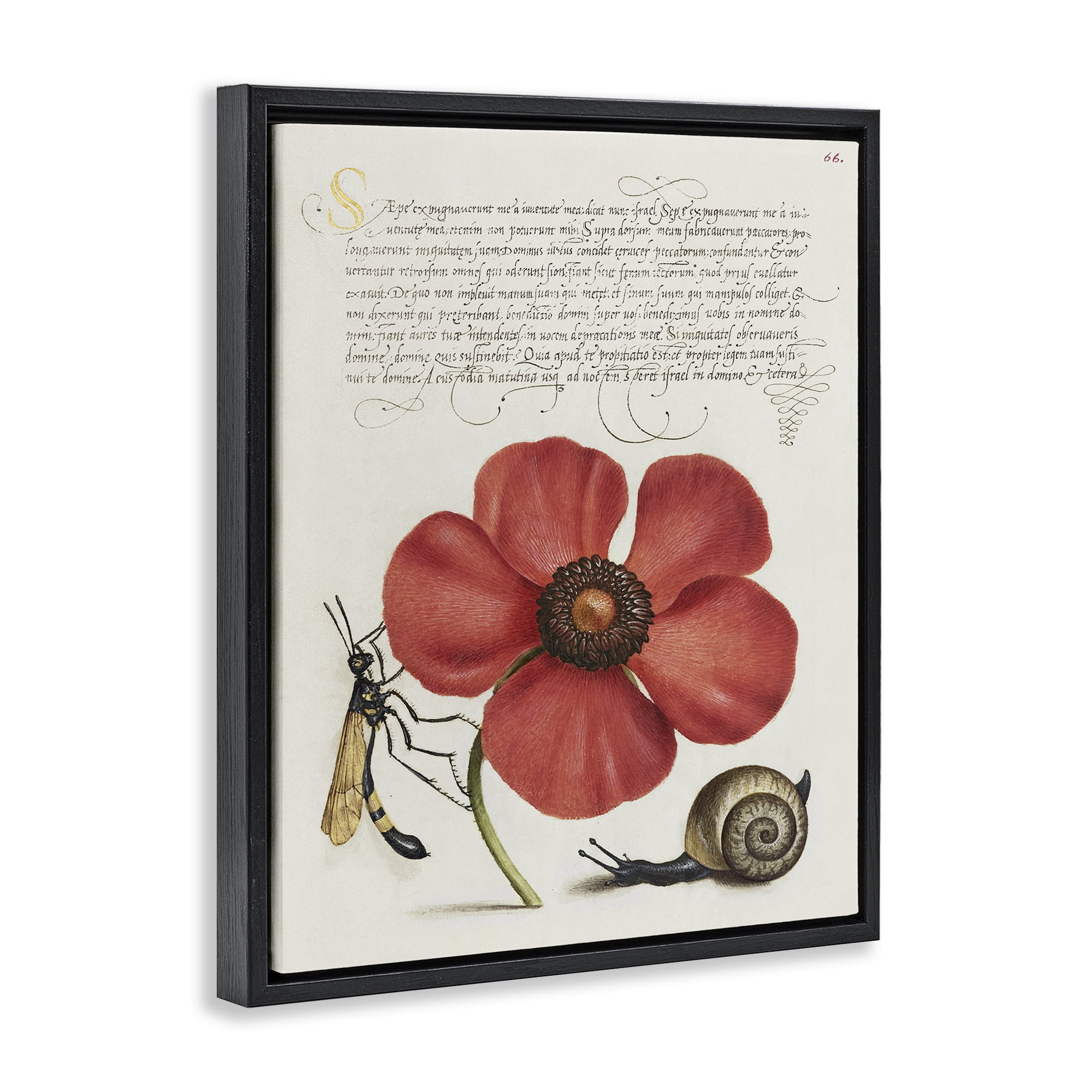 Stupell Industries Vintage Insects on Flower Text & Numbers Painting Black Floater Framed Canvas Art Print Wall Art, 17 x 21