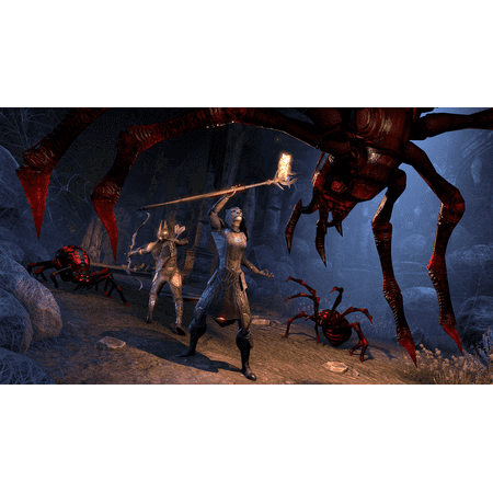 Bethesda Softworks Elder Scrolls Online: Summerset for PlayStation 4