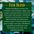 thumbnail image 2 of Liquid Fish Blend 2-3-2 Fertilizer - 32 fl oz Bottle by Medina, 2 of 6