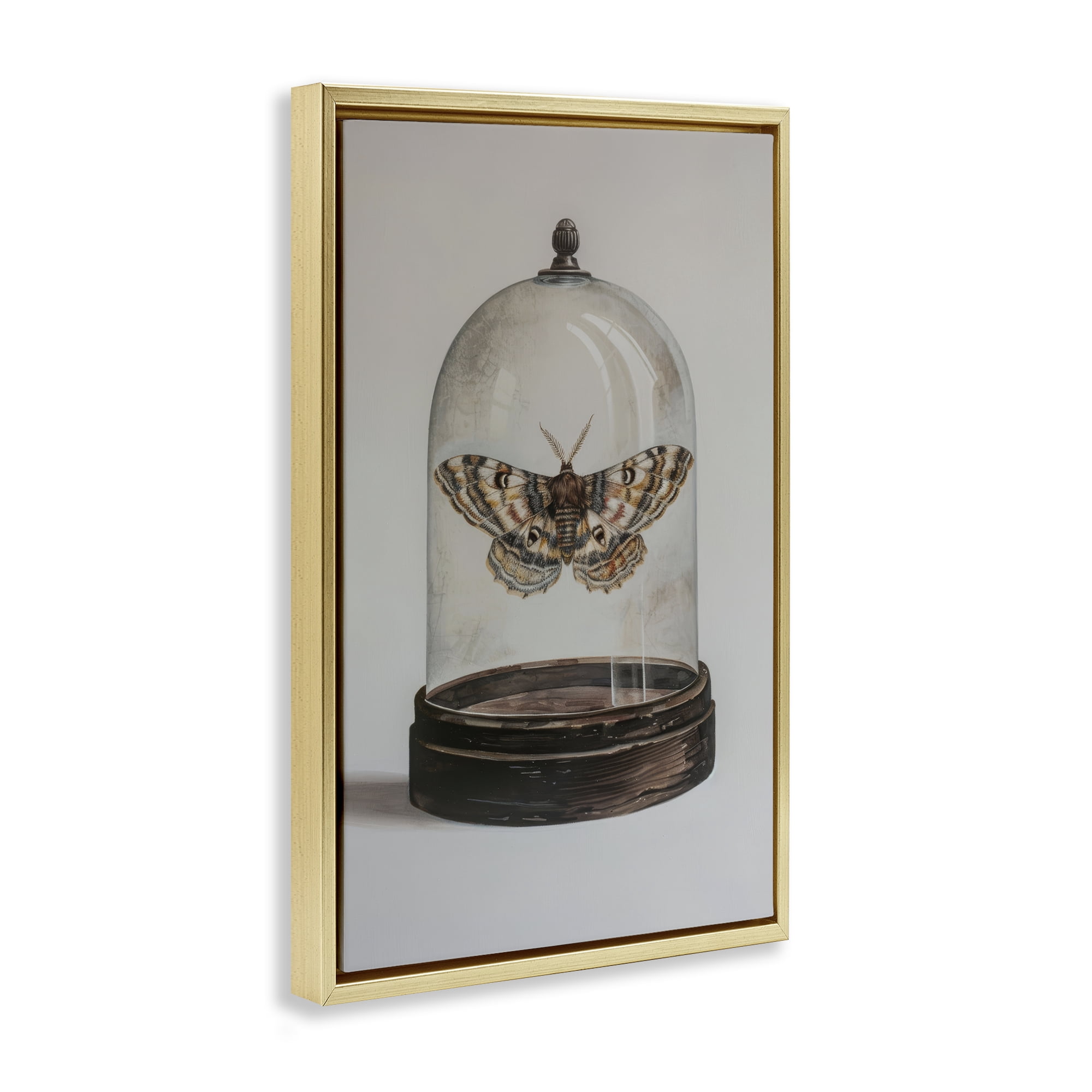 Stupell Industries Moth in Glass Cloche Animals Painting Gold Floater Framed Canvas Art Print Wall Art, 21 x 31