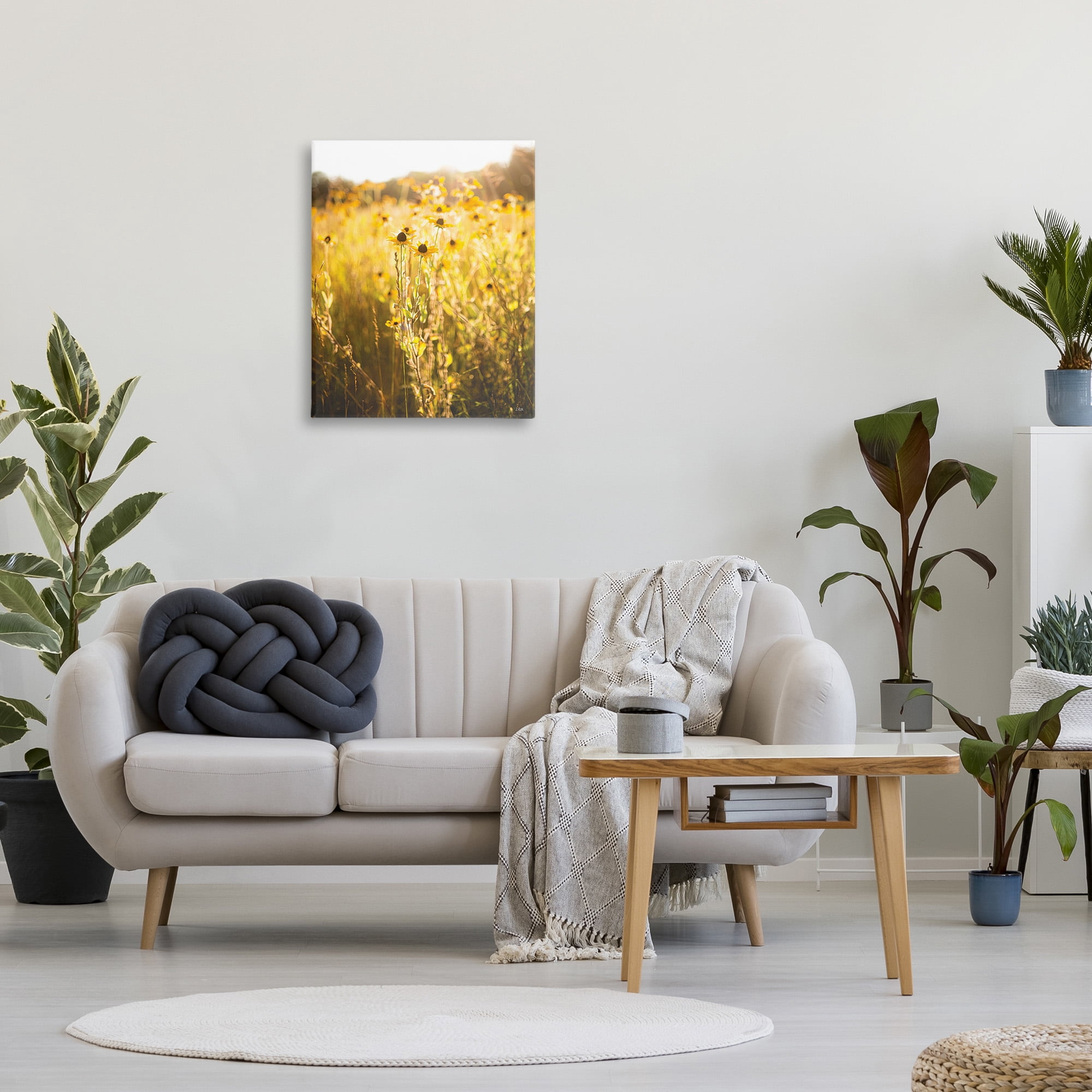Stupell Industries Sunlit Daisy Meadow Landscape Photography Gallery Wrapped Canvas Art Print Wall Art, 24 x 30