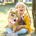 thumbnail image 5 of Valentine's Day Translucent Light and Breathable Chiffon Yarn Pet Bandana Collar Set (Pack of 2) - Sizes 40.6x40.6x58/16x16x22.8in & 53.3x53.3x76.2/20.9x20.9x30in, 5 of 5