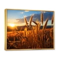 thumbnail image 2 of Designart "Country beauty Golden Harvest" Landscapes Floater Framed Wall Decor, 2 of 7