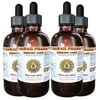 Memory Care Tincture, Ginkgo (Ginkgo Biloba) Leaf, Gotu Kola (Centella Asiatica) Herb, Rosemary (Rosmarinus Officinalis) Leaf Liquid Extract, Herbal Supplement 4x4 oz