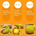 thumbnail image 4 of Assorted Fruit Toy Set, Includes Durian, Dragon Fruit, Mango, Peach, Soft & Stress More, Relie Slow-Rising, 4 of 7