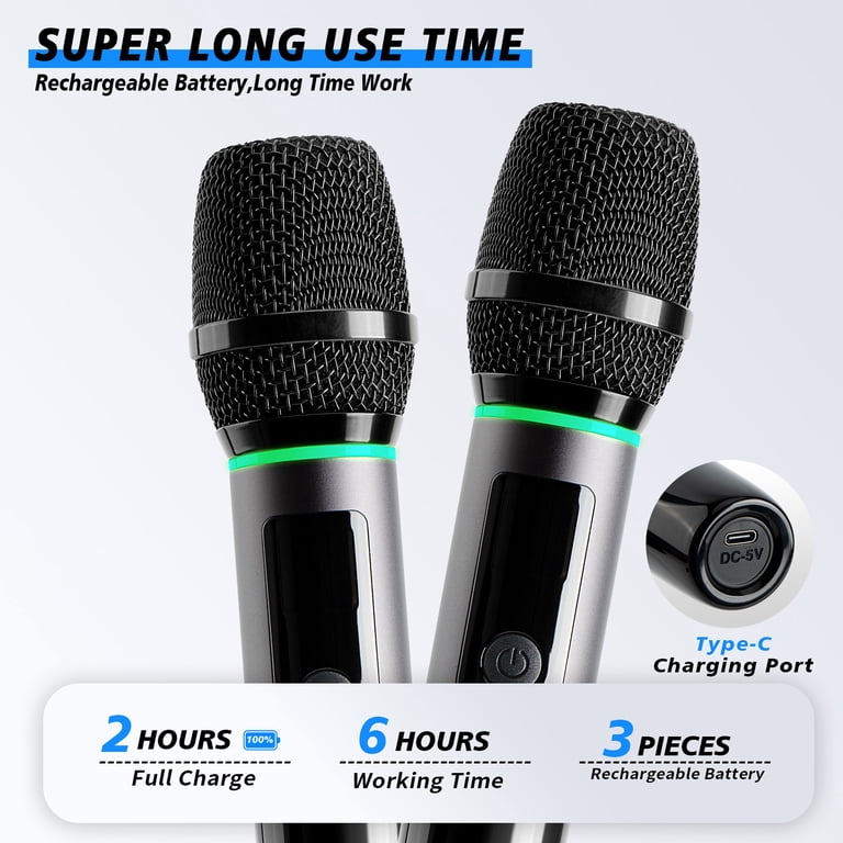 DAMMYTY Dual Wireless Handheld Dynamic Microphone System photo 3