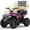 Pink, variant on Aoemoe 40 cc Gas Off-Road Ride-On, 10-15.5 mph, Parent Speed Key, flag