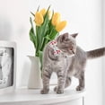 thumbnail image 3 of Lot de 2/ensemble Collier pour Chat à Dégagement Rapide avec Mignon Nœud Papillon et Clochette à Carreaux Fleur pour Minou Sécurité Ajustable, 3 of 9