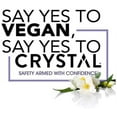 thumbnail image 3 of Crystal Mineral Deodorant Stick, Unscented 4.25 oz (Pack of 4), 3 of 5