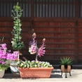 thumbnail image 4 of CTIRCHIU Support de Balle de Jardin Noir pour Exposition Décorative pour usage Extérieur 1 Pcs, 4 of 8