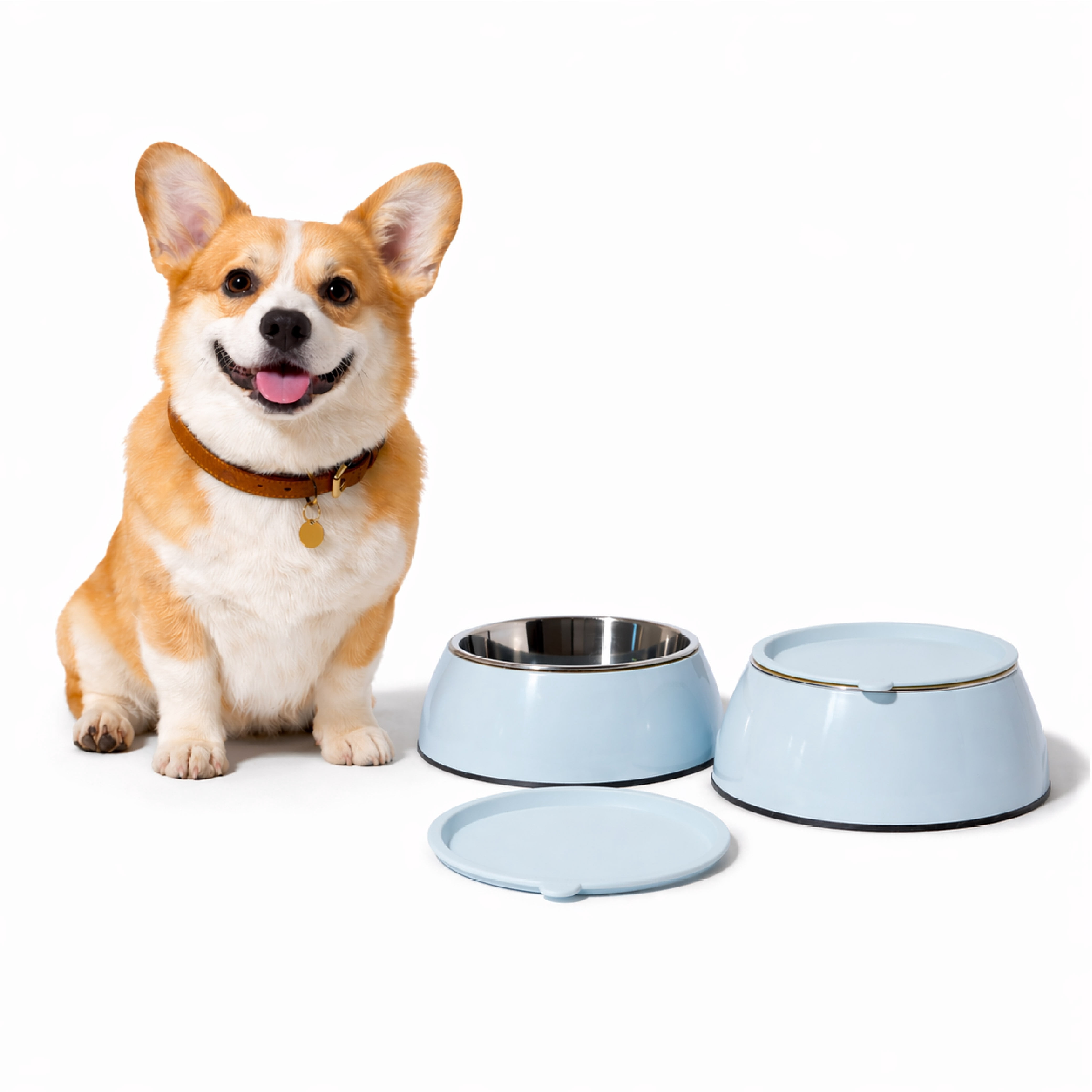 3 in 1 Melamine Dog Bowl Set with Lid Medium Blue Large to Extra Large