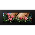 thumbnail image 2 of Hausenflock, Alan 14x7 Black Modern Framed Museum Art Print Titled - Climbing Pink Ladies I, 2 of 5