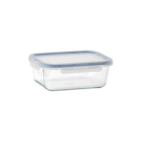 Glass Bento Box