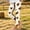 A23 Multicolor, variant on Girls Printed Leggings Soft Stretch Athletic Pants Elastic High Waist Footless Tights Casual Summer Activewear Cute Animal Pattern Long Yoga Bottoms